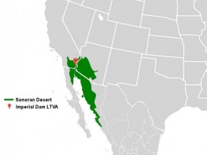 Imperial Dam LTVA - Sonoran Desert Map